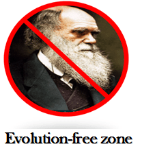 The Lecture: 8 Reasons Why Evolution is&nbsp;Foolish