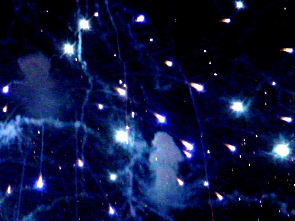 The Heavens Declare a Different&nbsp;Story!