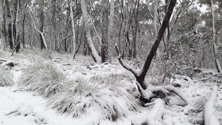 Global Cooling Coming