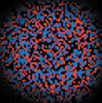 Figure 5: From Ref. 7, page 8. 1 The first star-forming systems—small proto-galaxies—consisted mostly of the elementary particles known as dark matter (shown in red). Ordinary matter—mainly hydrogen gas (blue)—was initially mixed with the dark matter (original text).