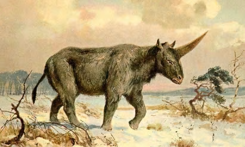 Painting of the Elasmotherium sibiricum or the ‘Siberian unicorn’ by Heinrich Harder. Credit: Public Domain