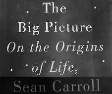 The Big Picture: On the Origins of Life, Meaning and the Universe Itself? Part 7