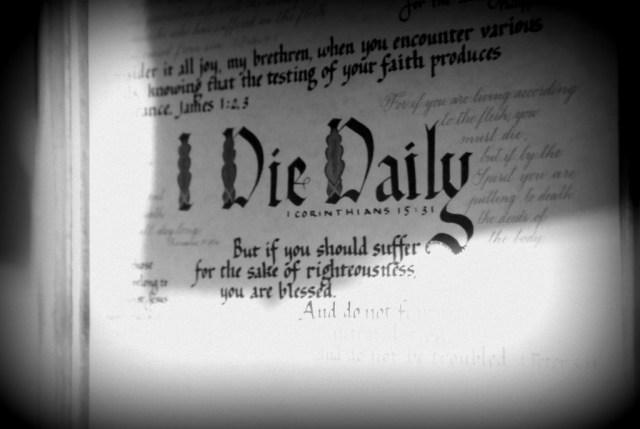 Die Daily