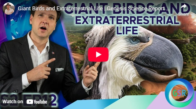 Have Aliens Terraformed Other Planets? New&nbsp;Insights