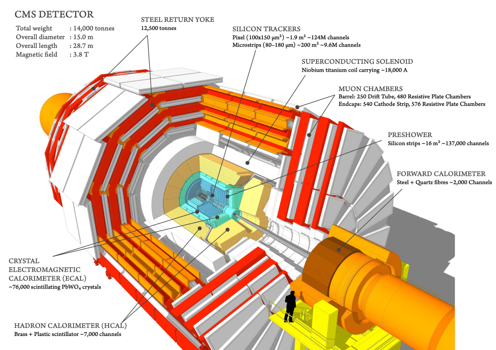 Dark Matter Search | SUSY’s Long Fall From&nbsp;Grace