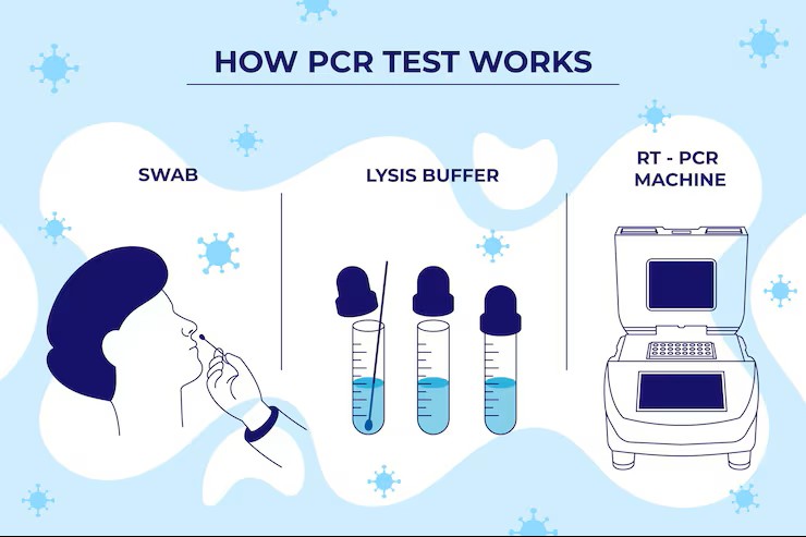 90% Inaccurate: Bombshell German Study Exposes the PCR Test Fraud That Locked Down the&nbsp;World