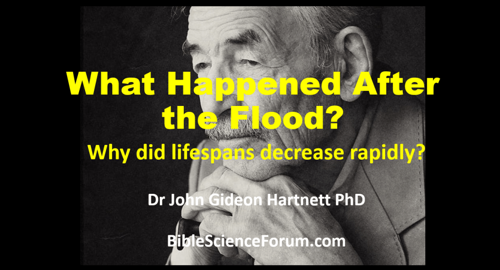 What Happened After the Flood? Why Did Lifespans Decrease&nbsp;Rapidly?